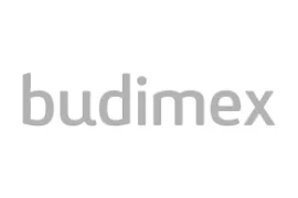 Logotyp budimex